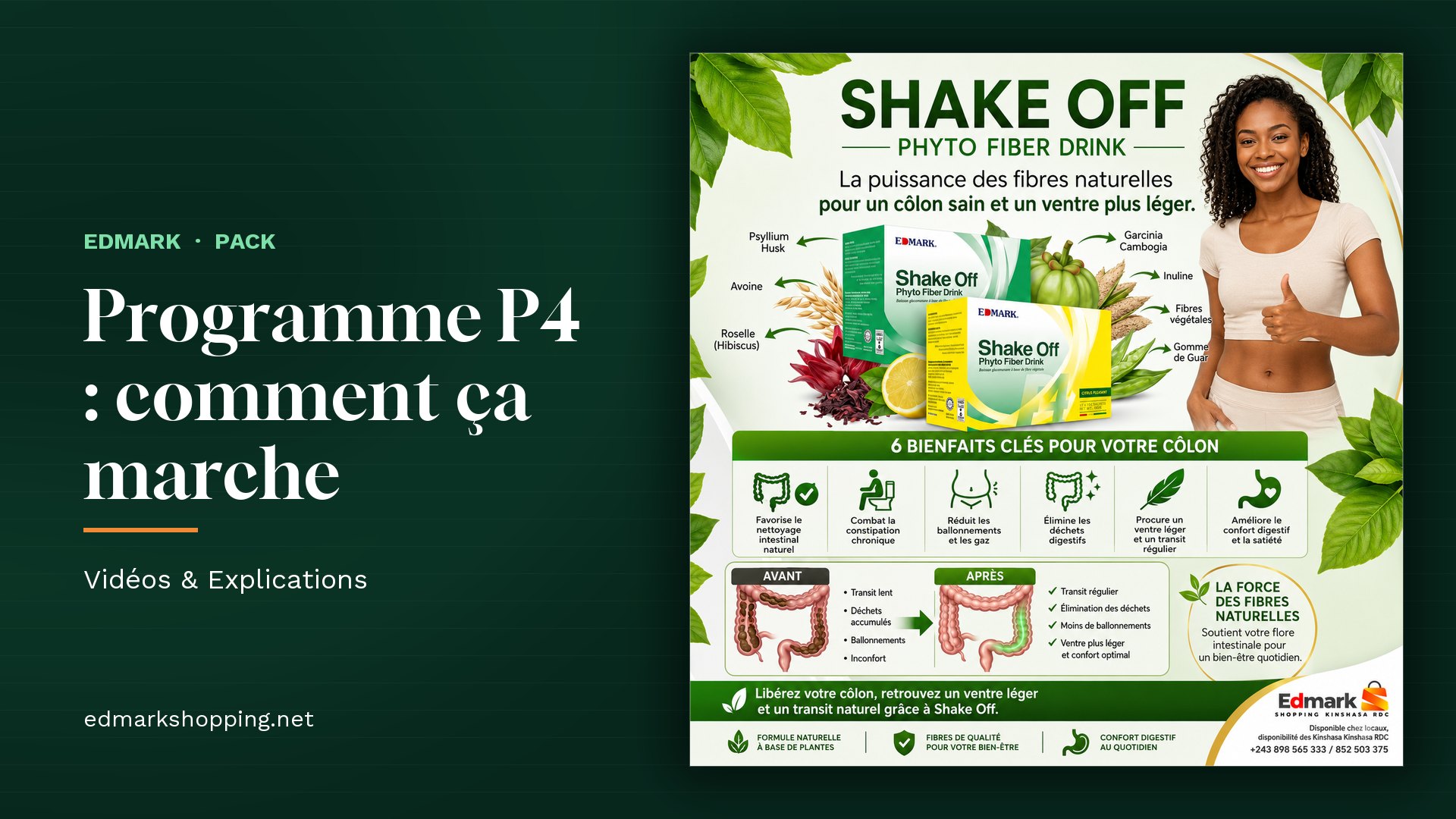 Programme P4 : comment ça marche